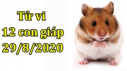 Tử vi 12 con giáp hôm nay 29/8/2020: Tuổi Tý mọi việc thuận lợi. Tuổi Sửu gặp xui xẻo