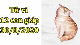 Tử vi 12 con giáp hôm nay 30/8/2020: Tuổi Mão ích kỷ, tuổi Thân bình yên