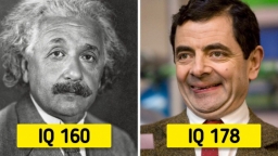 7 sao Hollywood IQ cao: Shakira biết 5 thứ tiếng, Rowan Atkinson trái ngược trên phim