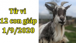 Tử vi 12 con giáp hôm nay 1/9/2020: Tuổi Mùi sức khỏe ảnh hưởng, tuổi Thân tích cực