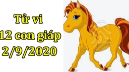 Tử vi 12 con giáp hôm nay 2/9/2020: Tuổi Ngọ có thành tựu mới, tuổi Dần không êm đẹp