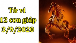 Tử vi 12 con giáp hôm nay 3/9: Tuổi Ngọ gặp thị phi, tuổi Dần được giúp đỡ nhiều