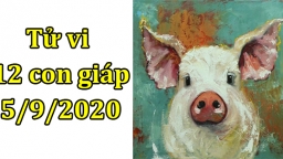 Tử vi 12 con giáp hôm nay 5/9/2020: Tuổi Hợi dễ mệt mỏi, tuổi Thìn êm đẹp