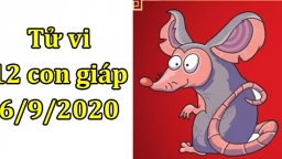 Tử vi 12 con giáp hôm nay 6/9/2020: Tuổi Tý tiền đồ rộng mở, tuổi Dần kém sắc