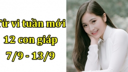 Tử vi 12 con giáp tuần mới từ  7/9 - 13/9 Tuổi Dần nhiều biến cố, tuổi Mão có thành tựu