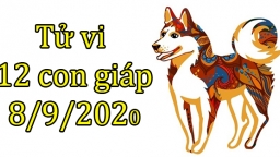 Tử vi 12 con giáp hôm nay 8/9/2020: Tuổi Tuất hao tài, tuổi Hợi được giúp đỡ