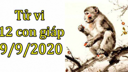 Tử vi 12 con giáp hôm nay 9/9/2020: Tuổi Thân may mắn ghi điểm, tuổi Dậu bị chọc phá