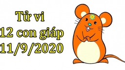 Tử vi 12 con giáp hôm nay 11/9/2020: Tuổi Tý cần kiềm chế, tuổi Ngọ mọi việc thuận lợi