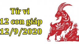 Tử vi 12 con giáp hôm nay 12/9: Tuổi Mùi khá thuận lợi, tuổi Thìn không may mắn