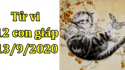 Tử vi 12 con giáp hôm nay 13/9: Tuổi Mão bùng nổ, tuổi Mùi bị phá