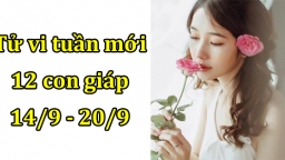 Tử vi 12 con giáp tuần mới từ 14/9 - 20/9 Tuổi Mão gặp tiểu nhân, tuổi Ngọ may mắn