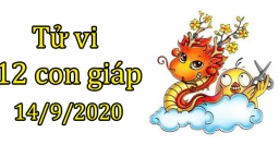 Tử vi 12 con giáp hôm nay 14/9: Tuổi Thìn thuận lợi, tuổi Thân vướng chanh chấp