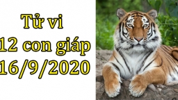 Tử vi 12 con giáp hôm nay 16/9: Tuổi Dần có tin vui, tuổi Thìn gặp trở ngại