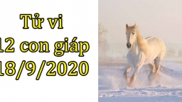 Tử vi 12 con giáp hôm nay 18/9: Tuổi Ngọ gặp mâu thuẫn, tuổi Hợi được nâng đỡ