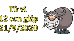 Tử vi 12 con giáp hôm nay 21/9: Tuổi Sửu nhiều cơ hội, tuổi Thìn gặp khó khăn