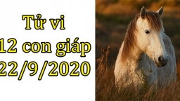 Tử vi 12 con giáp hôm nay 22/9: Tuổi Ngọ suôn sẻ, tuổi Mùi mệt mỏi