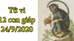 Tử vi 12 con giáp hôm nay 24/9: Tuổi Thân công danh rộng mở, tuổi Dậu có phần khó khăn