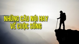 Top 60 câu nói hay về cuộc sống ý nghĩa nhất