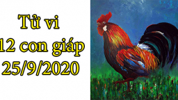 Tử vi 12 con giáp hôm nay 25/9: Tuổi Dậu dễ vướng tranh chấp, tuổi Mùi thành công