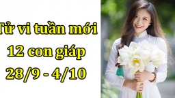 Tử vi 12 con giáp tuần mới từ 28/9 - 4/10 Tuổi Mão nhiều cơ hội, tuổi Thìn không may mắn