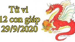 Tử vi 12 con giáp hôm nay 29/9: Tuổi Thìn tài lộc dồi dào, tuổi Tị vận mệnh không tốt