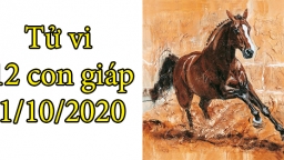 Tử vi 12 con giáp hôm nay 1/10: Tuổi Ngọ gặp trắc trở, tuổi Thân vô cùng thuận lợi