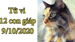 Tử vi 12 con giáp hôm nay 9/10: Tuổi Mão dễ gây gổ, tranh cãi, tuổi Thìn được nâng đỡ