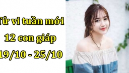 Tử vi 12 con giáp tuần mới từ 19/10 - 15/10 Tuổi Mão may mắn, tuổi Thìn gặp cạnh tranh