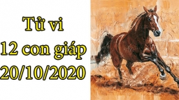 Tử vi 12 con giáp hôm nay 20/10: Tuổi Ngọ dễ bị kích động, tuổi Thân có tin vui