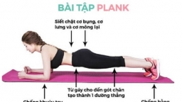 Hướng dẫn cách tập plank đúng cách để có vóc dáng đẹp