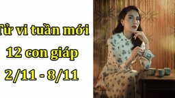 Tử vi tuần mới từ 2/11 - 8/11 của 12 con giáp: Tuổi Dần ảm đạm, tuổi Ngọ nhiều tin vui