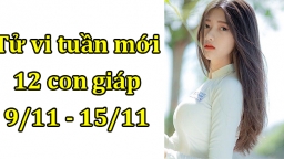 Tử vi tuần mới từ 9/11 - 15/11 của 12 con giáp: Tuổi Sửu gặp hung vận, tuổi Dần có tin vui