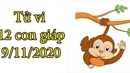 Tử vi 12 con giáp hôm nay 9/11: Tuổi Thân thuận lợi, tuổi Dậu thiếu quyết đoán