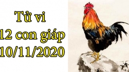 Tử vi 12 con giáp hôm nay 10/11: Tuổi Dậu được nâng đỡ, tuổi Tuất điều cảm xúc không tốt