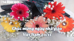 20+ status chúc mừng 20/11 bằng tiếng Anh ý nghĩa nhất