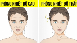 9 lý do vì sao bạn nên ngủ trong phòng nhiệt độ thấp