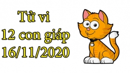 Tử vi 12 con giáp hôm nay 16/11: Tuổi Mão may mắn, tuổi Tị vất vả