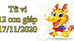 Tử vi 12 con giáp hôm nay 17/11: Tuổi Thìn may mắn về tiền bạc, tuổi Tị cần cân bằng