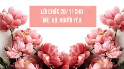 Tổng hợp những lời chúc 20/11 hay nhất cho mẹ, vợ, người yêu là giáo viên