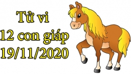 Tử vi 12 con giáp hôm nay 19/11: Tuổi Ngọ hanh thông, tuổi Mùi cảm thấy chán nản