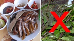 6 thứ tuyệt đối không được ăn với thịt chó, nhẹ thì tiêu chảy, nặng thì mất mạng