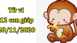 Tử vi 12 con giáp hôm nay 27/11: Tuổi Thân bị ngáng đường, tuổi Tuất có nhiều cơ hội