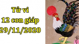 Tử vi 12 con giáp hôm nay 29/11: Tuổi Dậu bị phá, tuổi Tuất được giúp đỡ