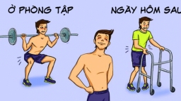 8 tranh minh họa những tình huống hài hước của các 'tấm chiếu mới' ngày đầu tập gym