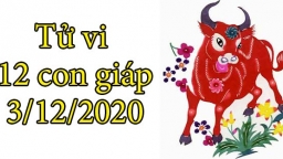 Tử vi 12 con giáp hôm nay 3/12: Tuổi Sửu có thể đón tin vui, tuổi Mão nhiều thị phi