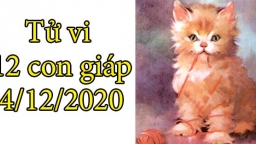 Tử vi 12 con giáp hôm nay 4/12: Tuổi Mão và gia đình hòa hợp, tuổi Mùi cực kì đào hoa