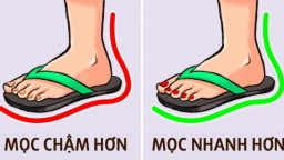 Vì sao móng tay mọc dài nhanh hơn móng chân?