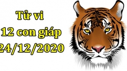 Tử vi 12 con giáp hôm nay 24/12: Tuổi Dần tin vui tài lộc, tuổi Thìn thận trọng