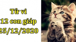 Tử vi 12 con giáp hôm nay 25/12: Tuổi Mão rất thuận lợi, tuổi Tị gặp rắc rối