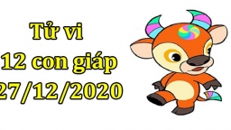 Tử vi 12 con giáp hôm nay 27/12: Tuổi Sửu bị phá, tuổi Thân hạnh phúc